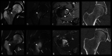 Fig. 9
