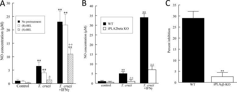 FIG 4