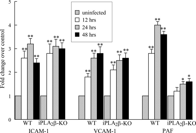 FIG 1