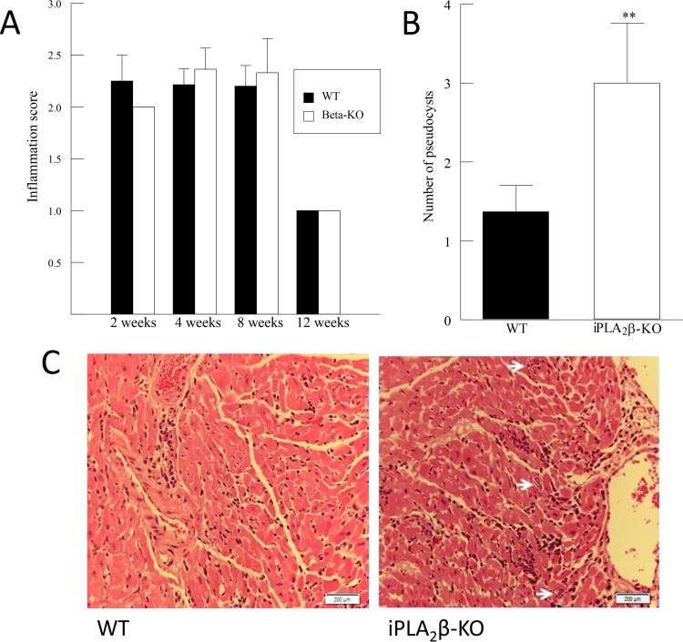 FIG 2