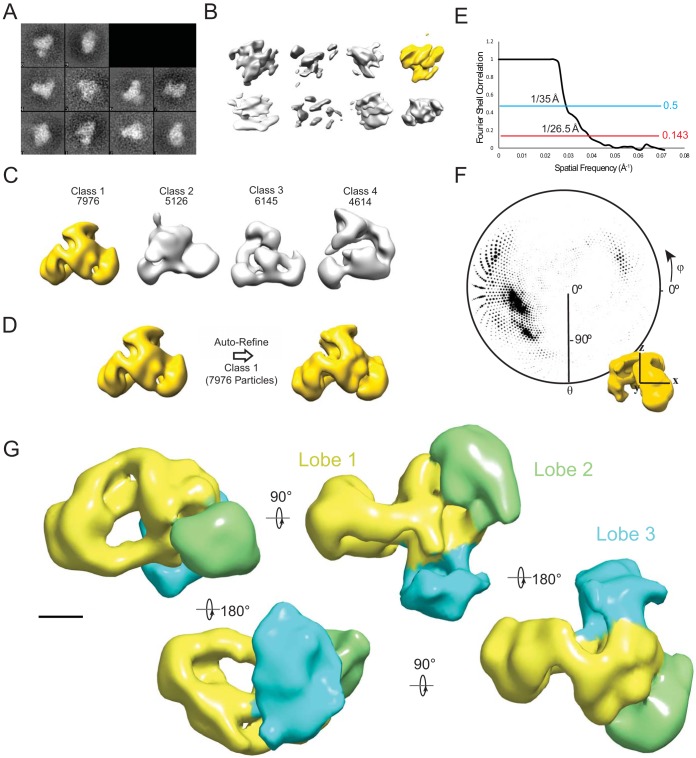 FIG 2