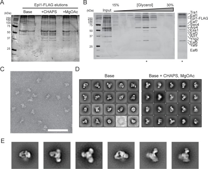 FIG 1