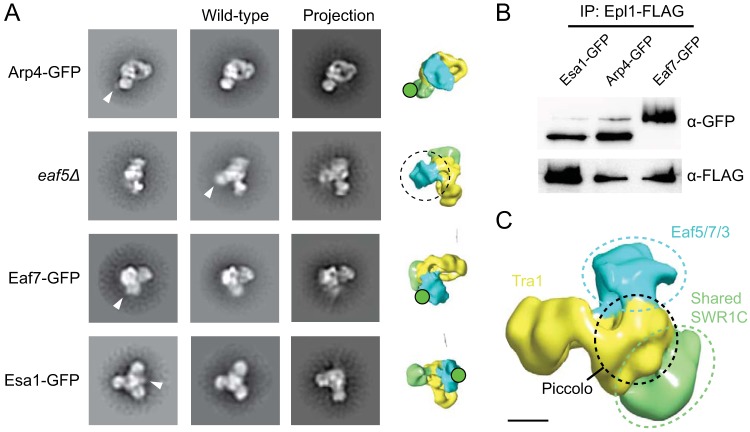 FIG 3