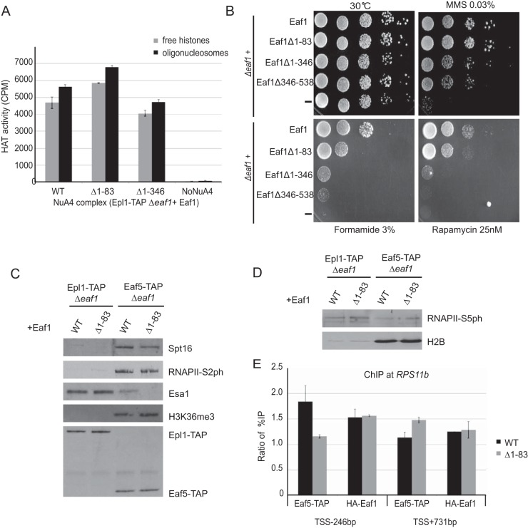 FIG 6