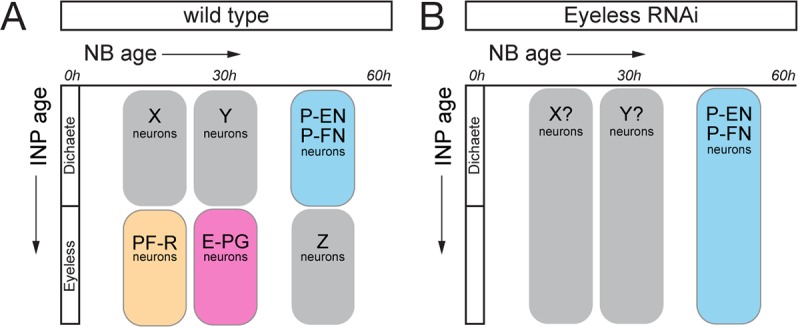 Figure 6—figure supplement 2.