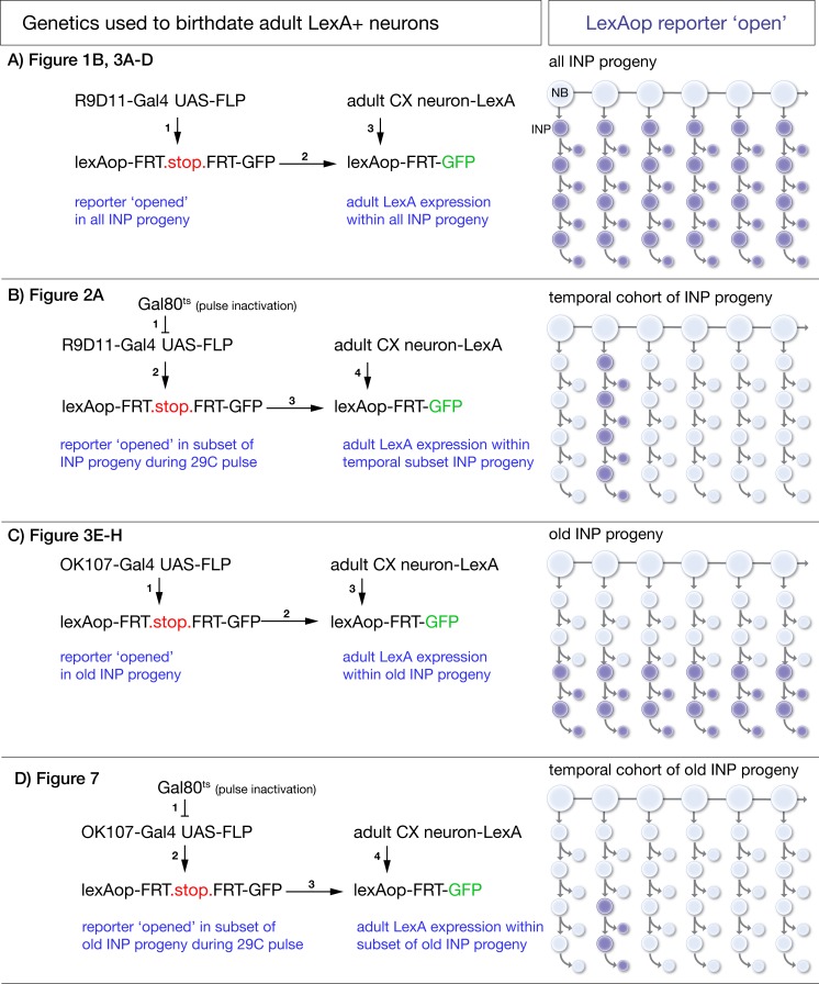 Figure 1—figure supplement 1.