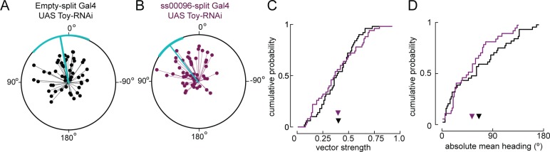 Figure 8—figure supplement 1.