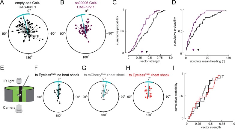 Figure 7—figure supplement 1.