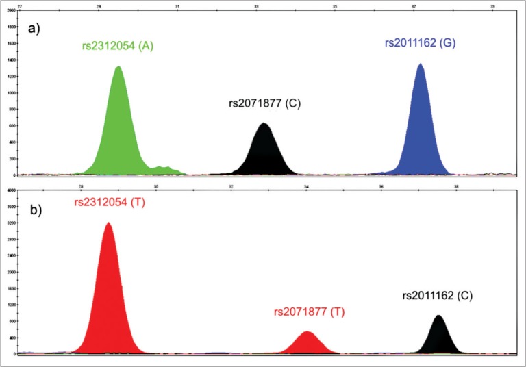 Figure 1.