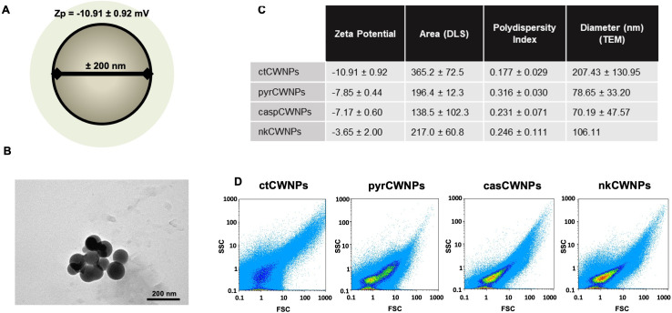 Characterization of nanoparticles depicts that ctCWNPs have the largest area and zeta potential. PyrCWNPs, CaspCWNPs, and NkCWNPs exhibit smaller sizes with varying zeta potentials and polydispersity indices.