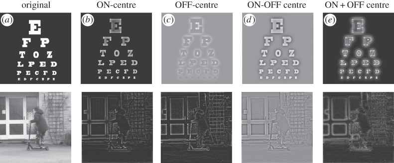 Figure 1.