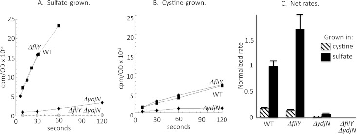 FIG 2