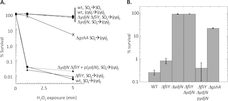 FIG 1