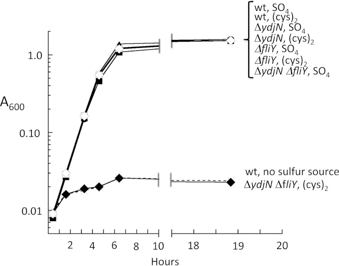 FIG 3