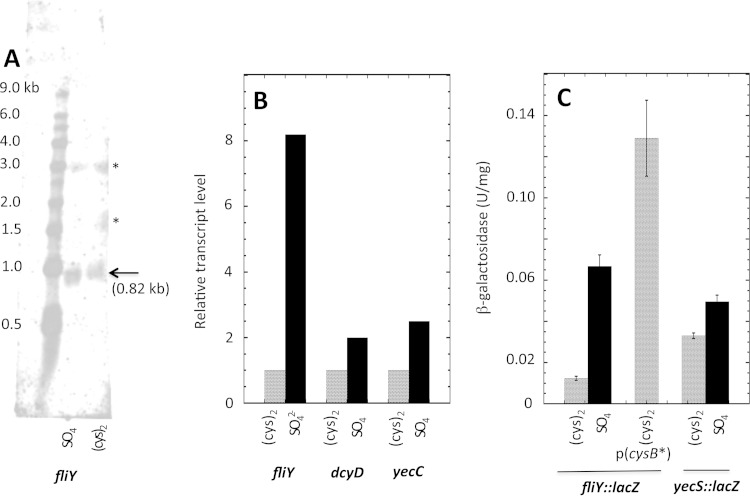 FIG 6