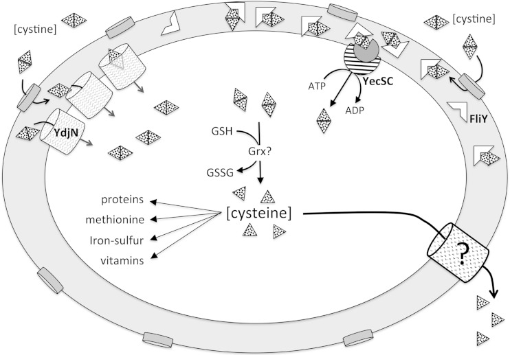 FIG 12