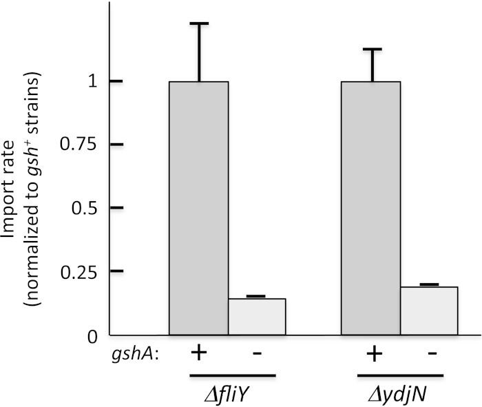 FIG 11