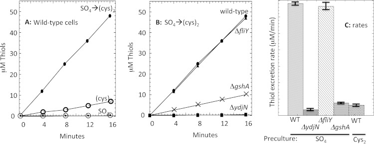 FIG 10