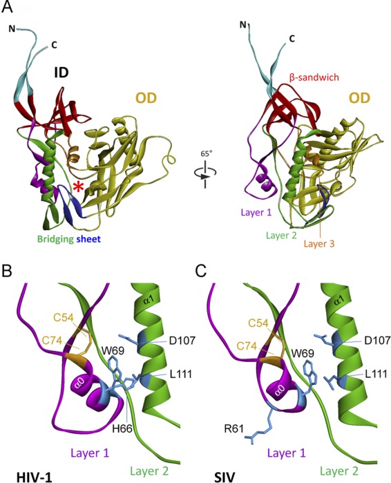 Fig 1