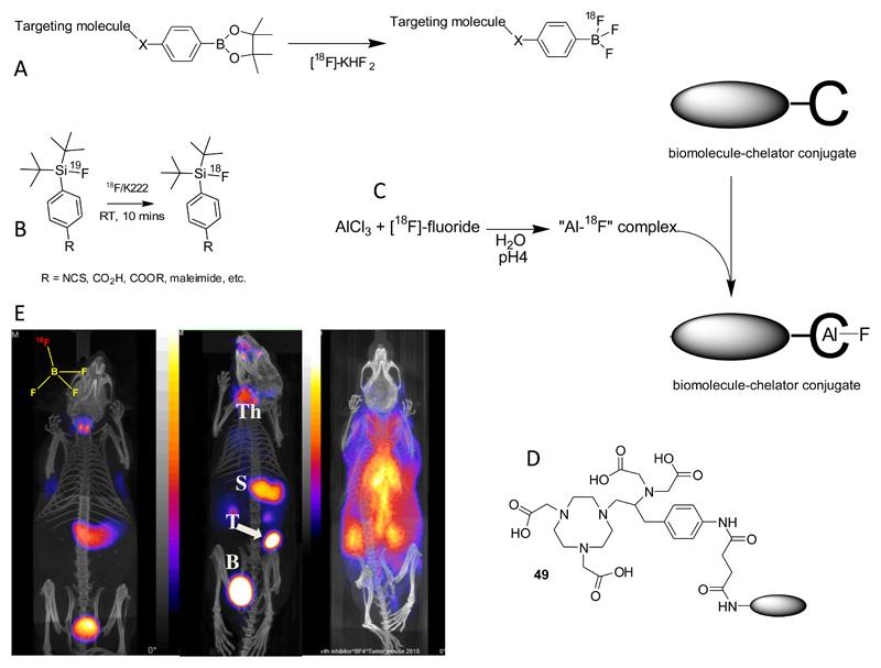 Figure 18