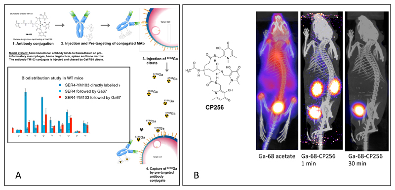 Figure 15