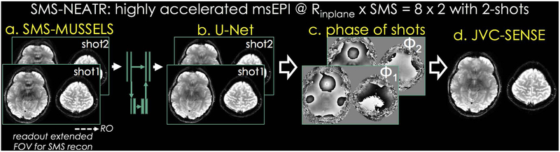 Fig 1.