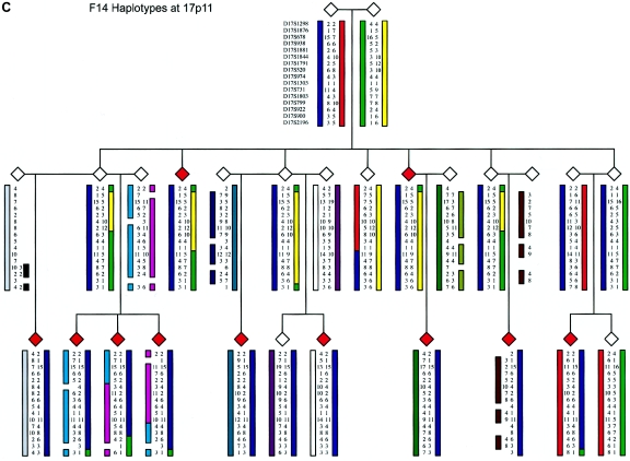 Figure  5