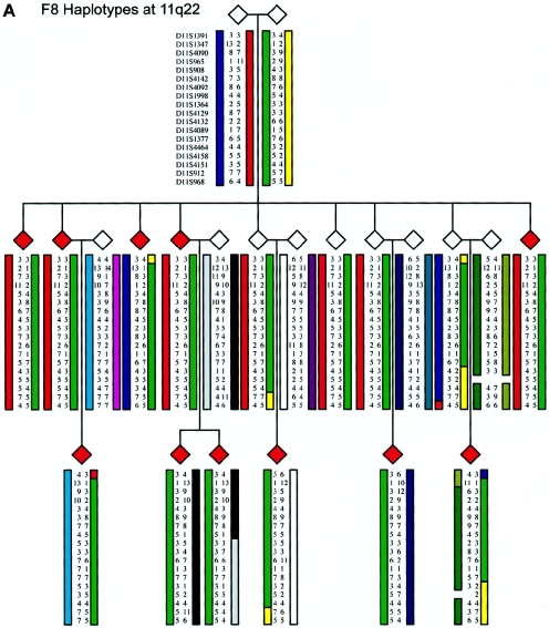 Figure  5