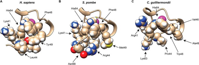 FIGURE 9.