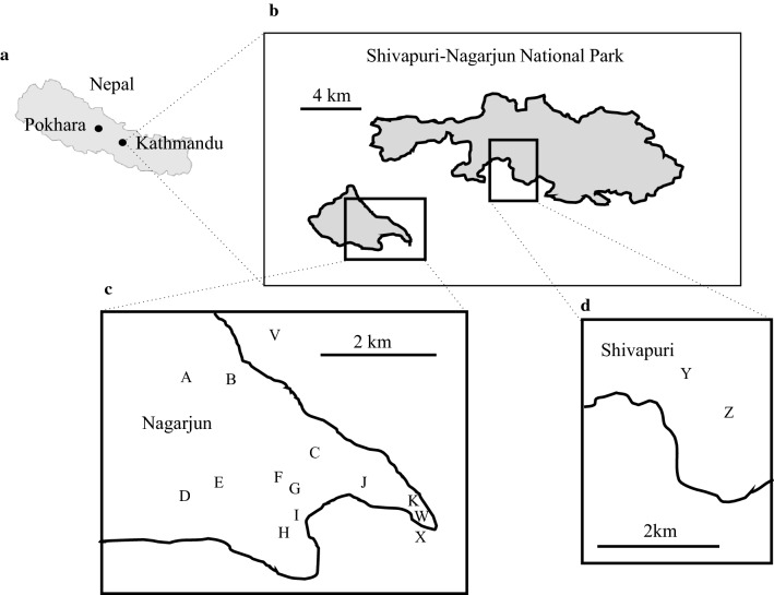 Fig. 1