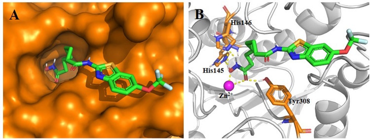 FIGURE 2