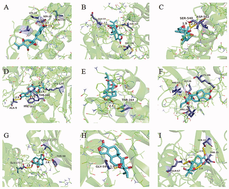 Figure 6.