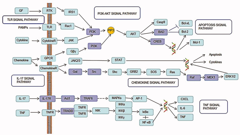 Figure 7.