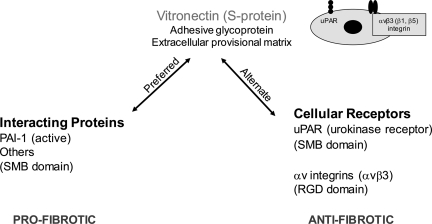 Fig. 12.