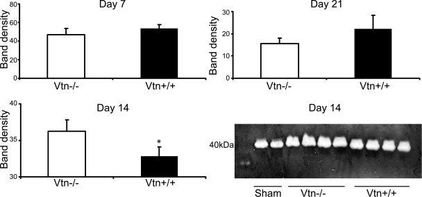 Fig. 10.