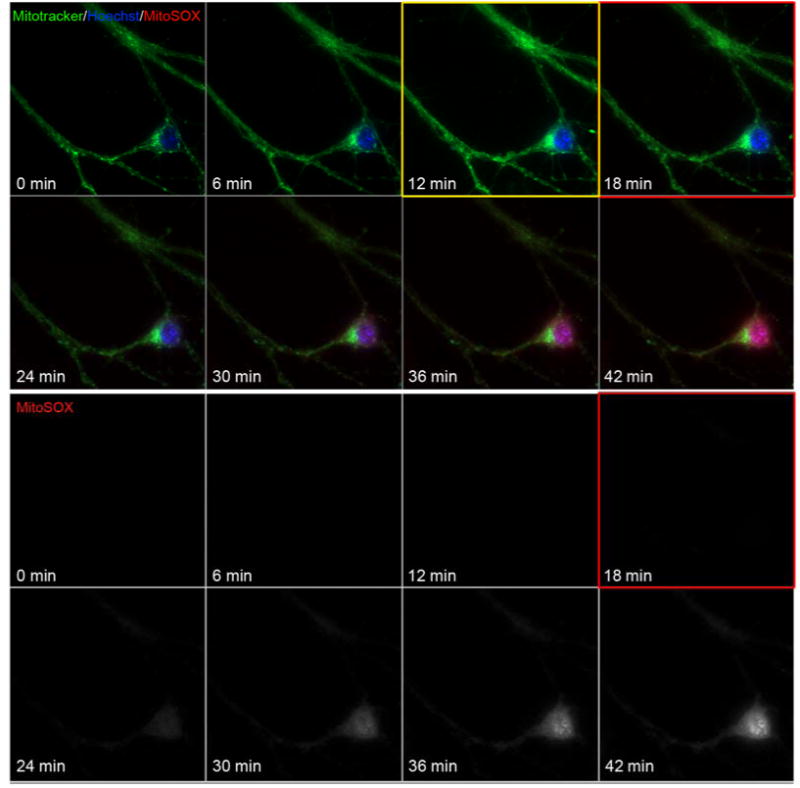 Fig. 4