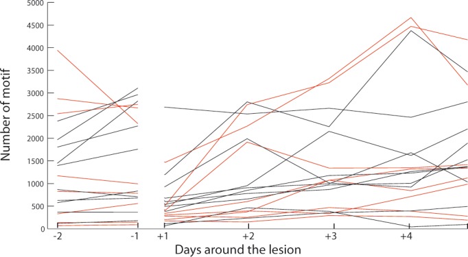 Figure 7—figure supplement 1.