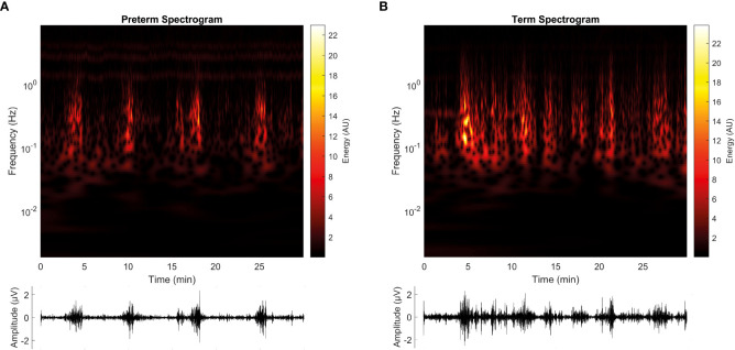 Figure 5