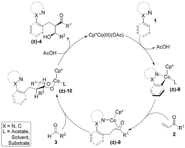 Scheme 6