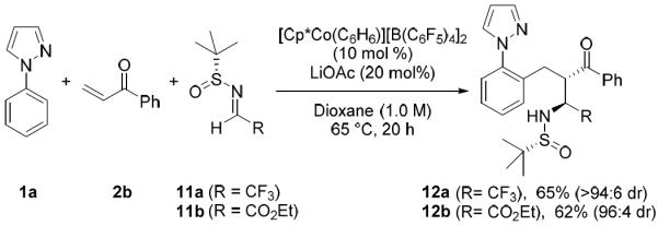 Scheme 7