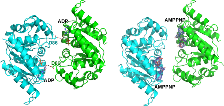 Figure 3.