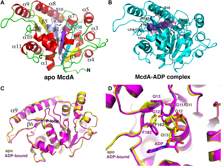 Figure 2.