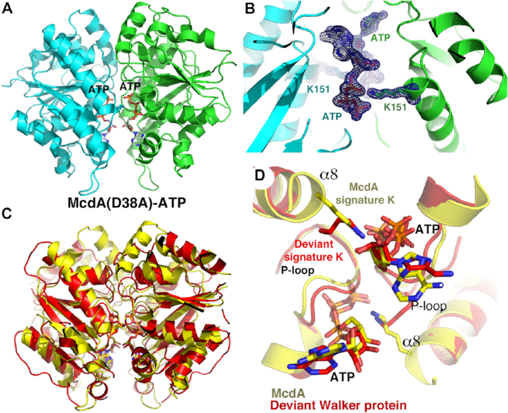 Figure 5.