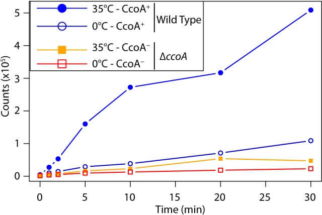 FIG 1 