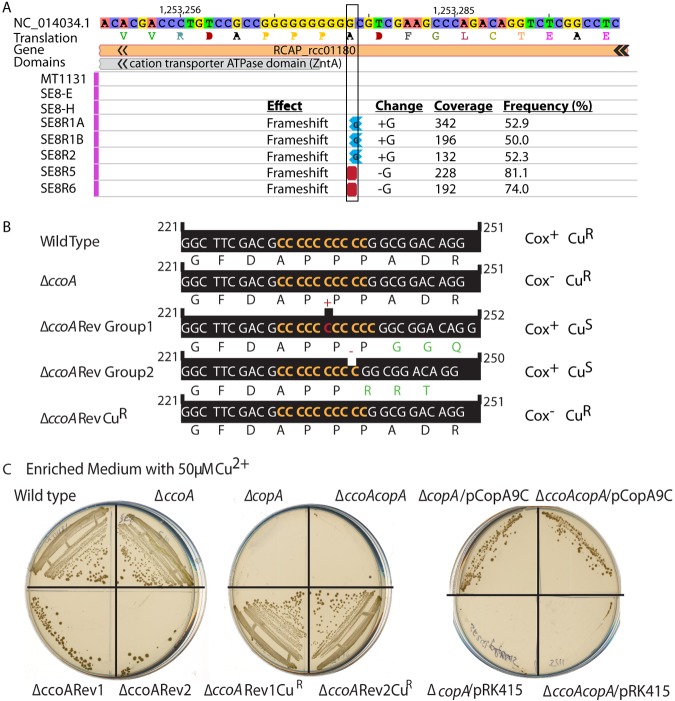 FIG 3 