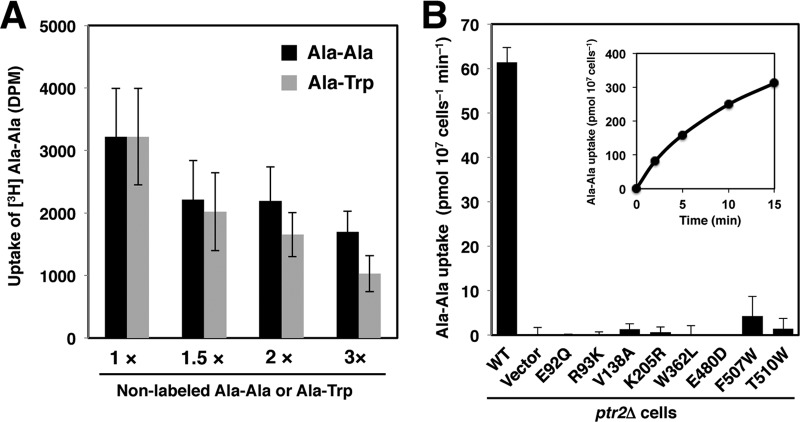 FIG 6