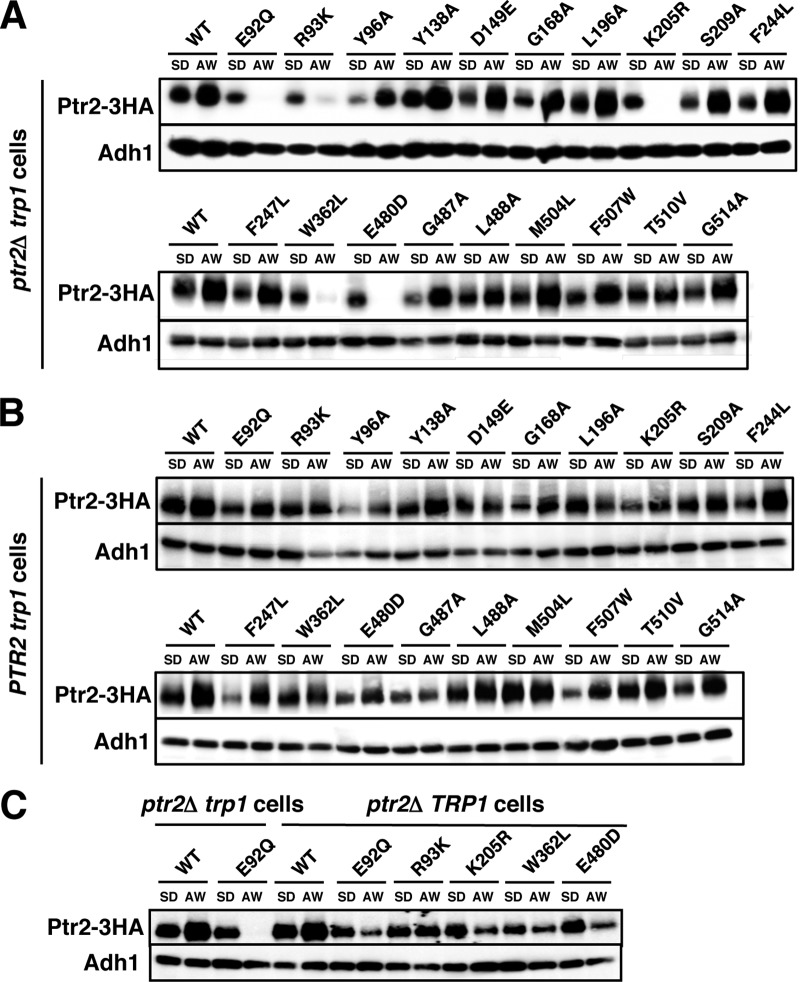 FIG 4