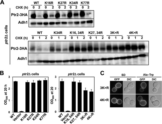 FIG 8