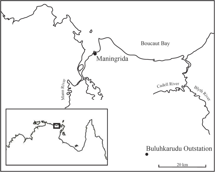 Fig. 1
