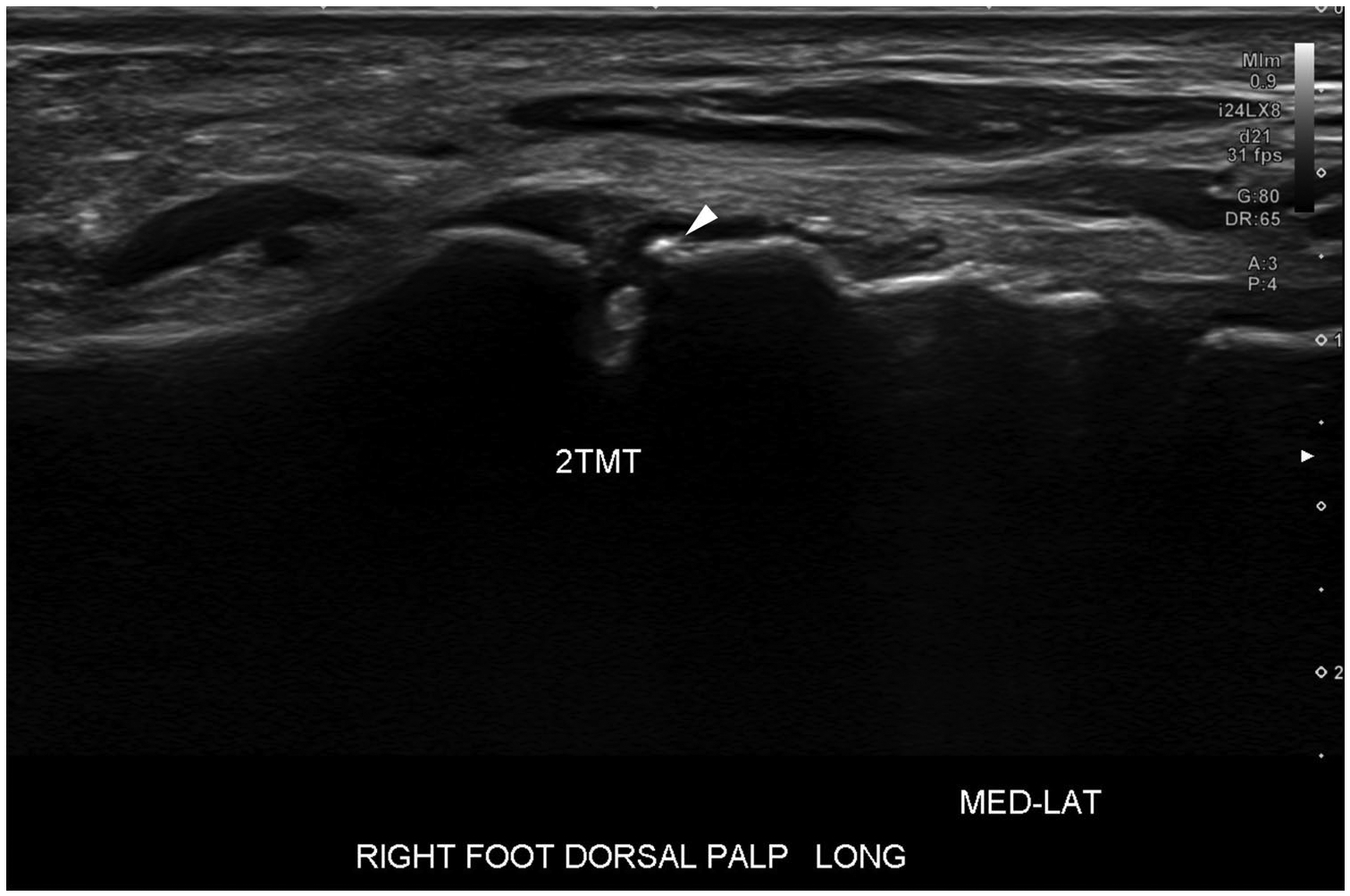 Fig. 9